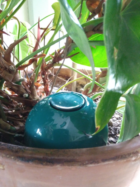 Olla Pépin terracotta naturelle - Diffuseur d'eau à planter aux pieds –  Maison Fertile