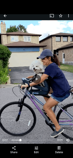 Buddy Rider – Discover Dogs