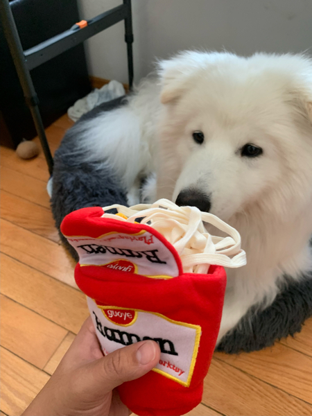 Funny Ramen Dog Toy - ULIPET